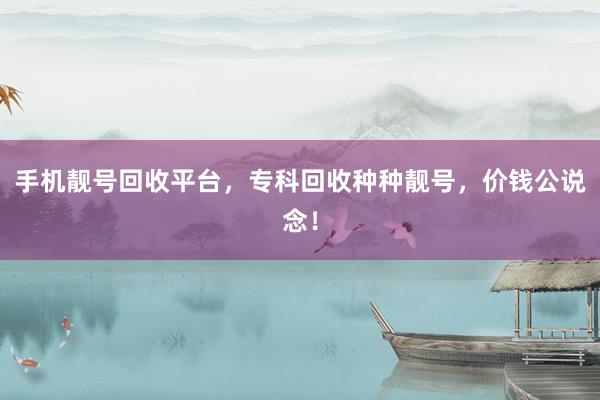 手机靓号回收平台，专科回收种种靓号，价钱公说念！
